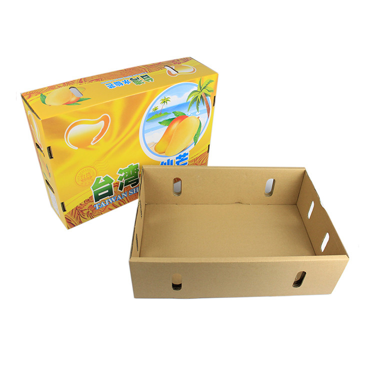 Self Erecting Kiwi Fruit Packing Box