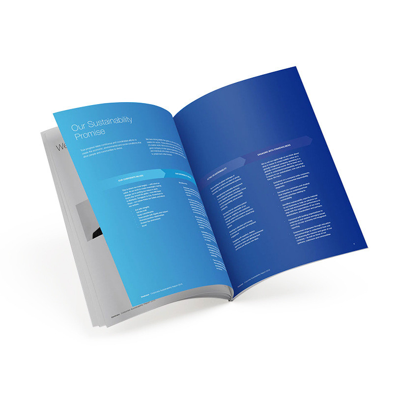 CMYK Color Printing Brochure , A4 A5 Advertising Agency Brochure